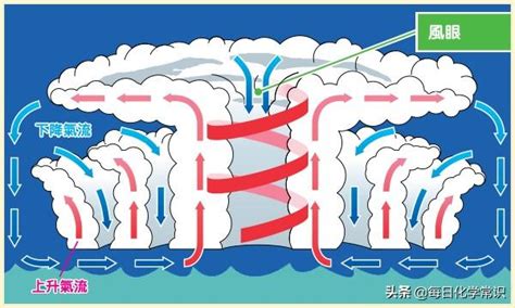 南北半球颱風轉向|你知道颱風怎麼形成的嗎！？